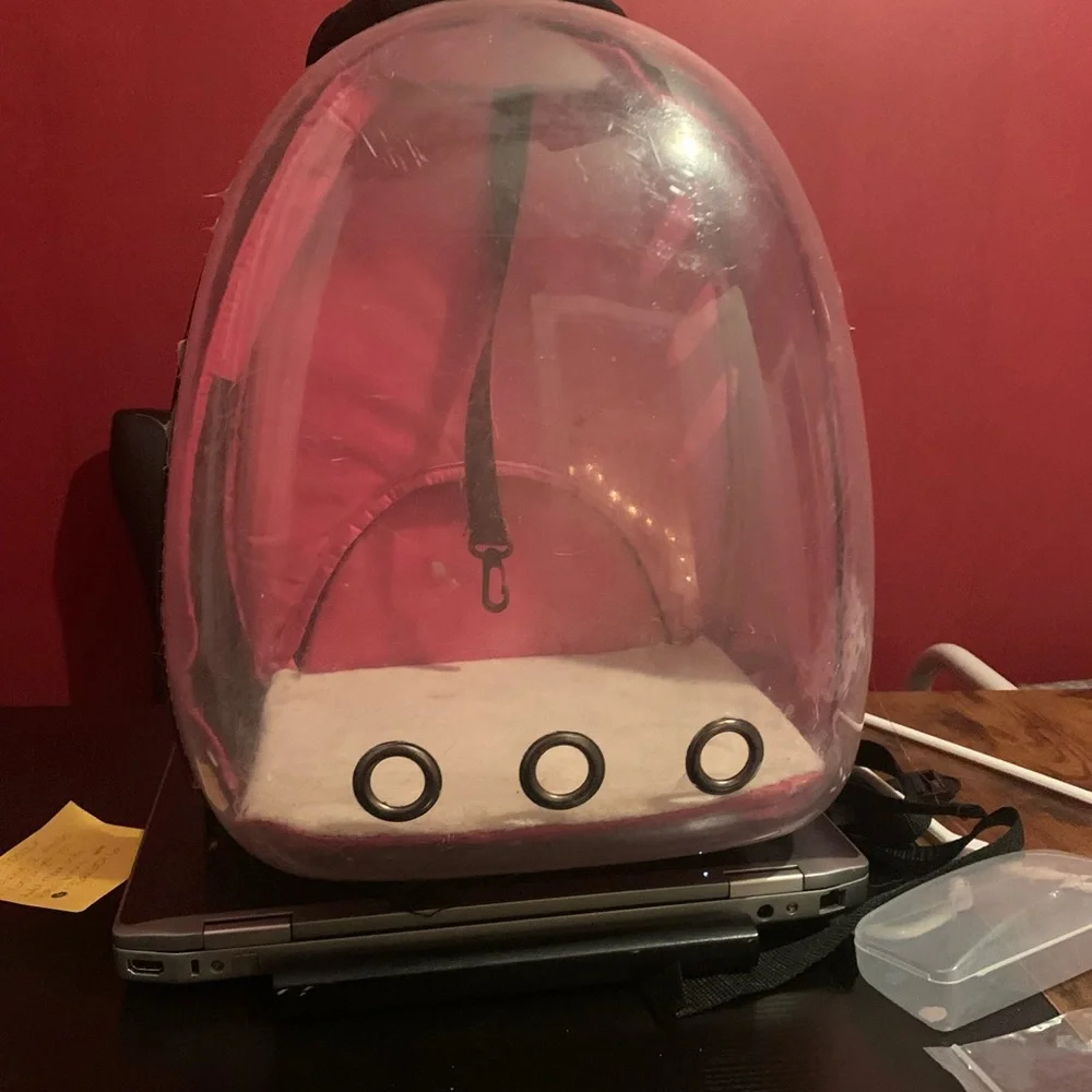 Car carrier backpack (gently used for vet visits)